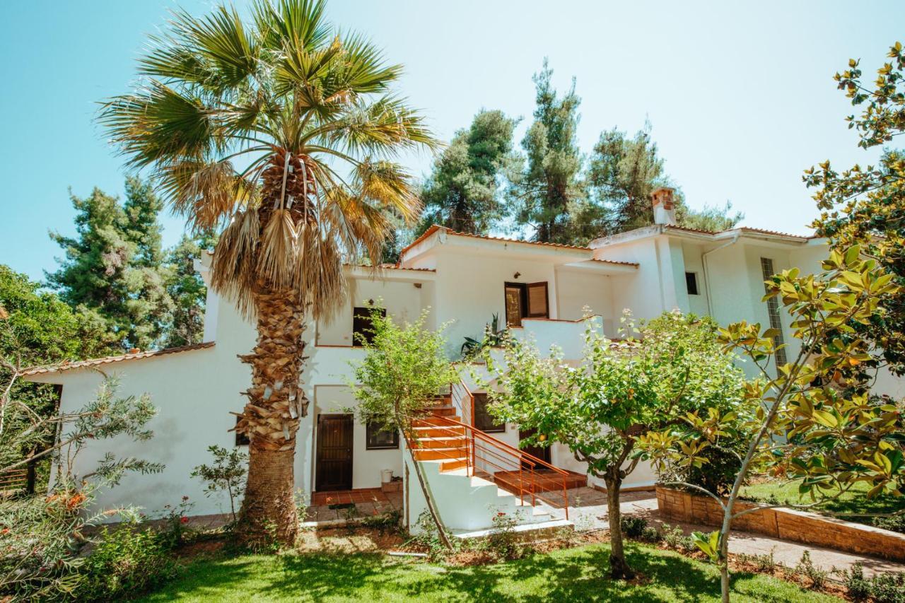 Forest House Near The Sea Сани-Бич Экстерьер фото