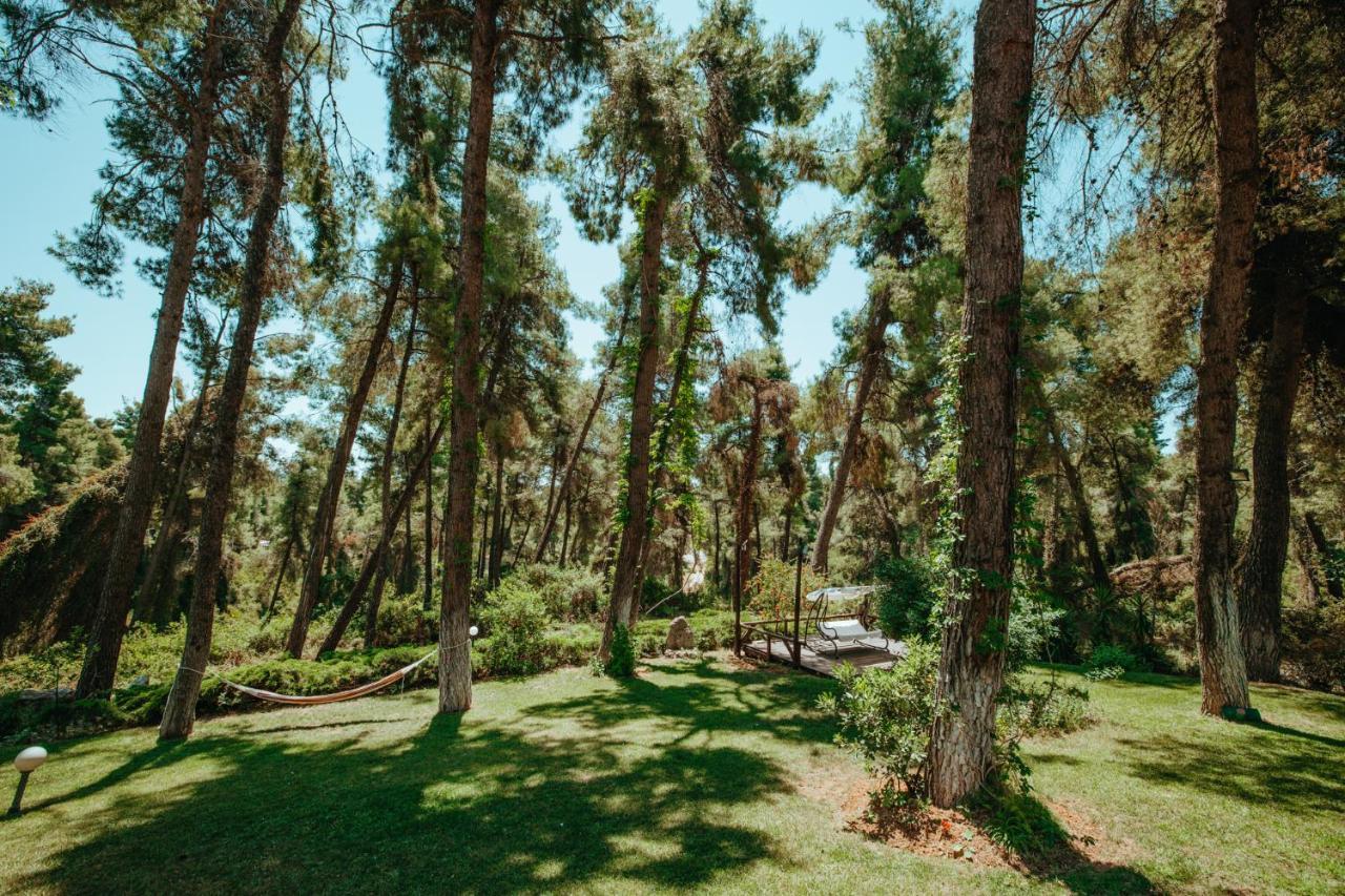 Forest House Near The Sea Сани-Бич Экстерьер фото
